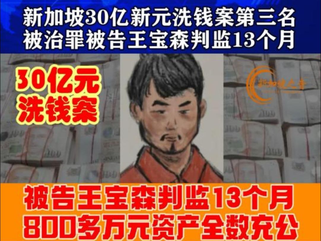 新加坡30亿洗钱案第三名被治罪被告王宝森判监13个月,800多万元资产全数充公.#王宝森 #资产充公 #认罪 #wangbaosen #新加坡 #新加坡洗钱案哔哩哔...