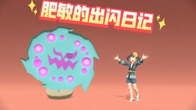 阿尔宙斯闪头目鬼盆栽 花岩怪 运气已没有余额 哔哩哔哩 つロ干杯 Bilibili