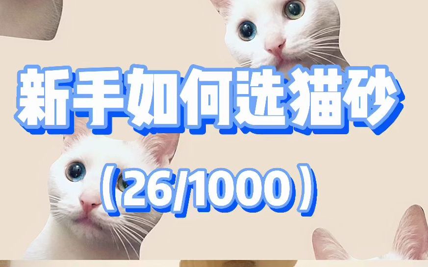 新手如何选猫砂?猫砂种类的区别是什么哔哩哔哩bilibili