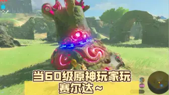 当60级原神玩家第一次玩赛尔达～
