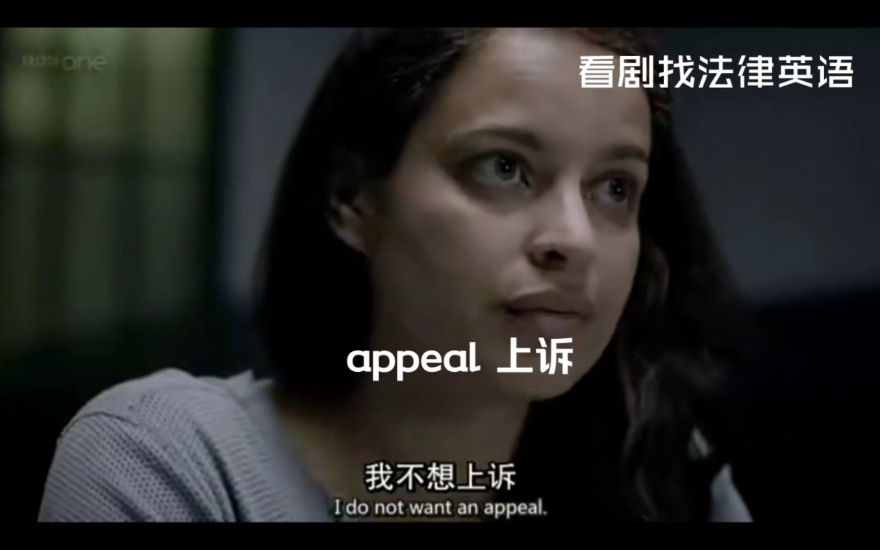 appeal上诉,抗诉protest,二审procedure of second instance,再审retrial哔哩哔哩bilibili