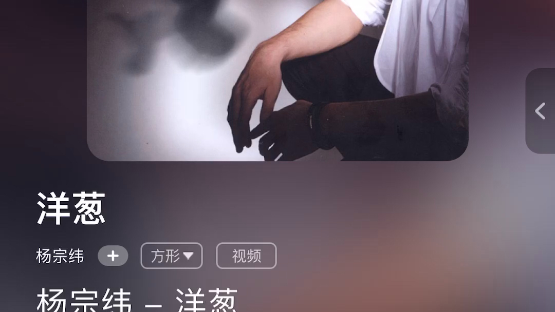 杨宗伟洋葱哔哩哔哩bilibili