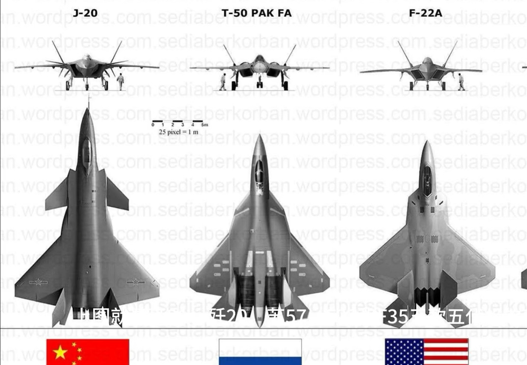 歼20和f22外形区别图片图片