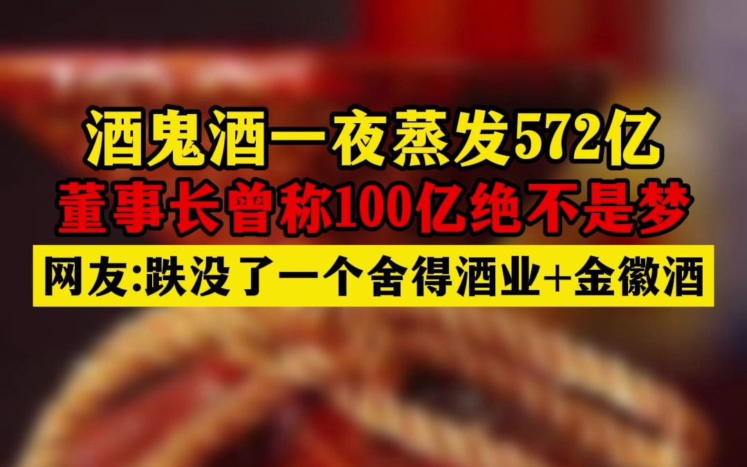 巨亏!酒鬼酒蒸发572亿,等于损失1个舍得酒+1个金徽酒哔哩哔哩bilibili