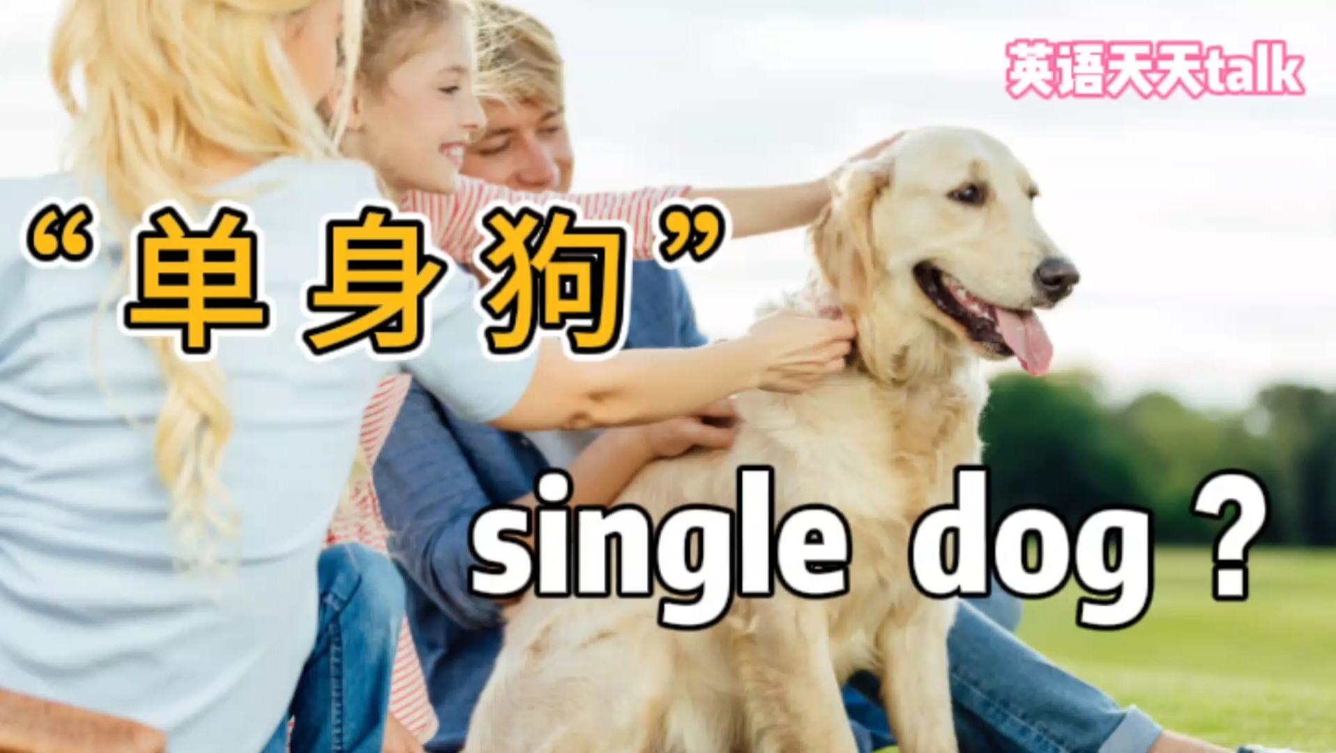 “单身狗”英语是single dog吗? 那“大龄剩女”要怎么说哔哩哔哩bilibili