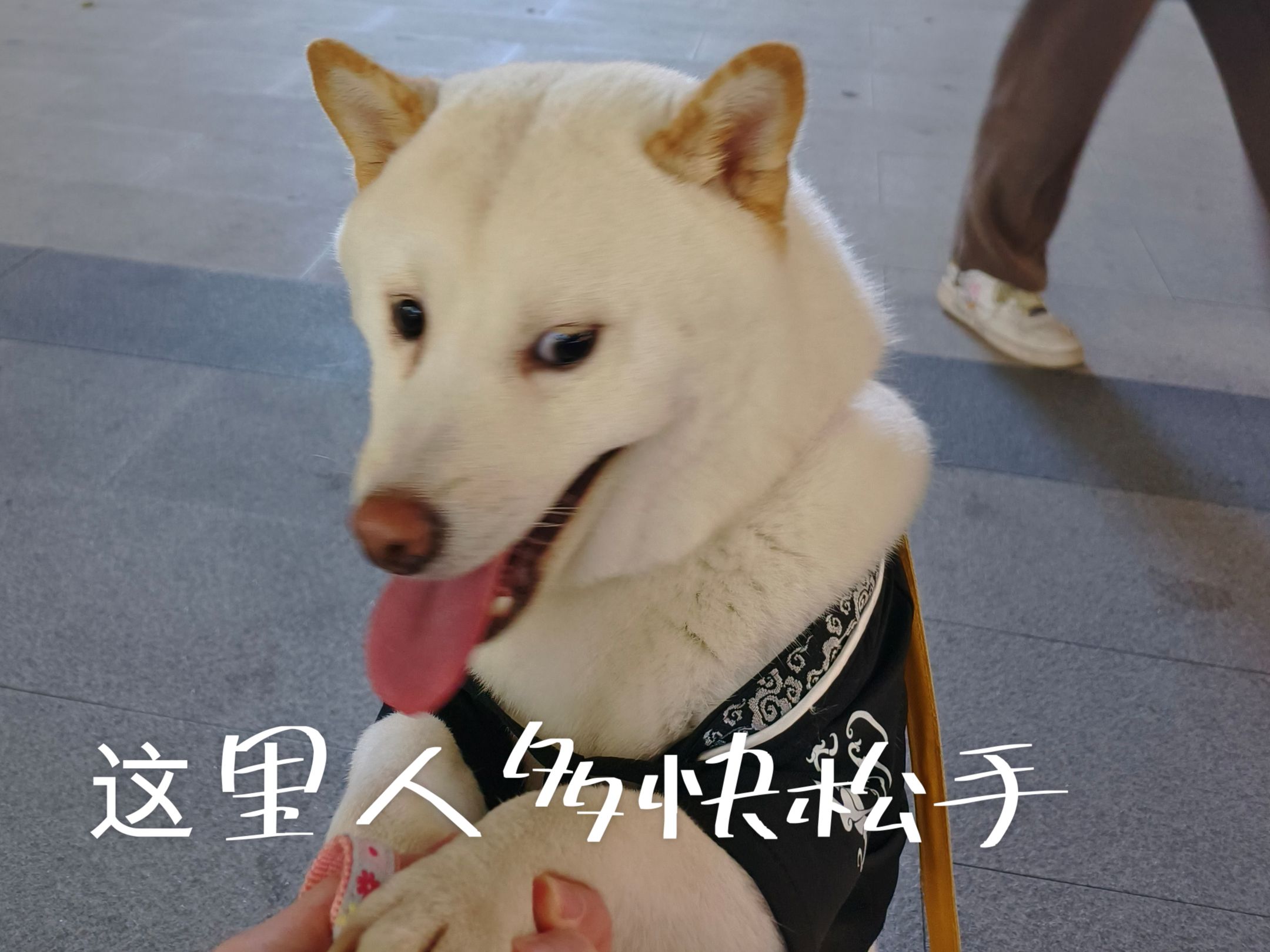 一副没见过世面的样子