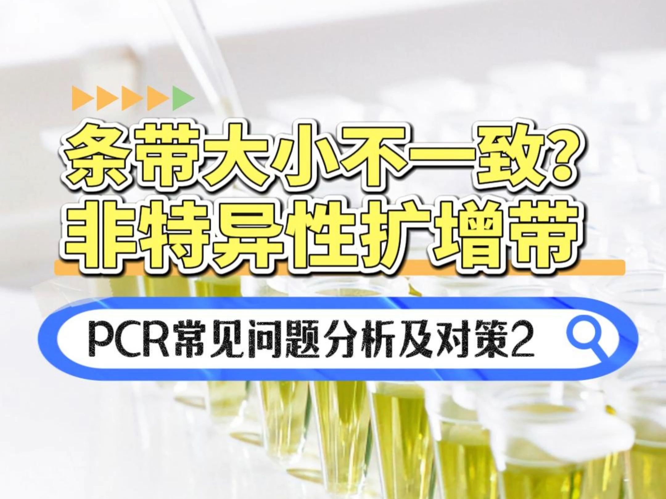 PCR 条带大小不一致怎么办?哔哩哔哩bilibili