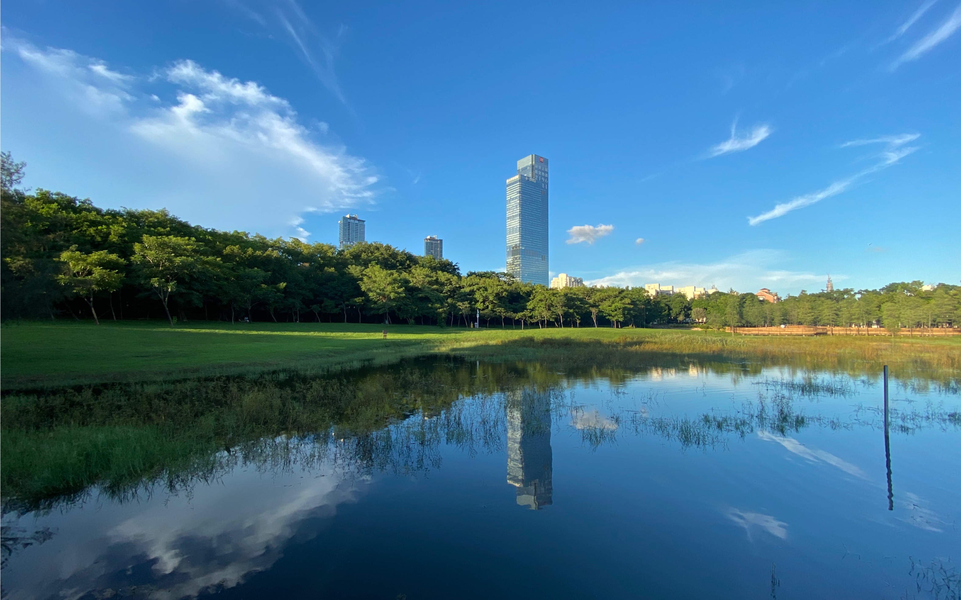 深圳莲花山公园夏日午后游