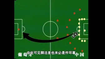 Download Video: 《中国队勇夺世界杯》（特别分享版）