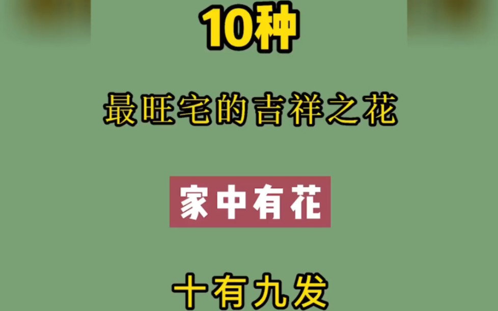 [图]十种最旺宅的吉祥之花，家中有花，十有九发