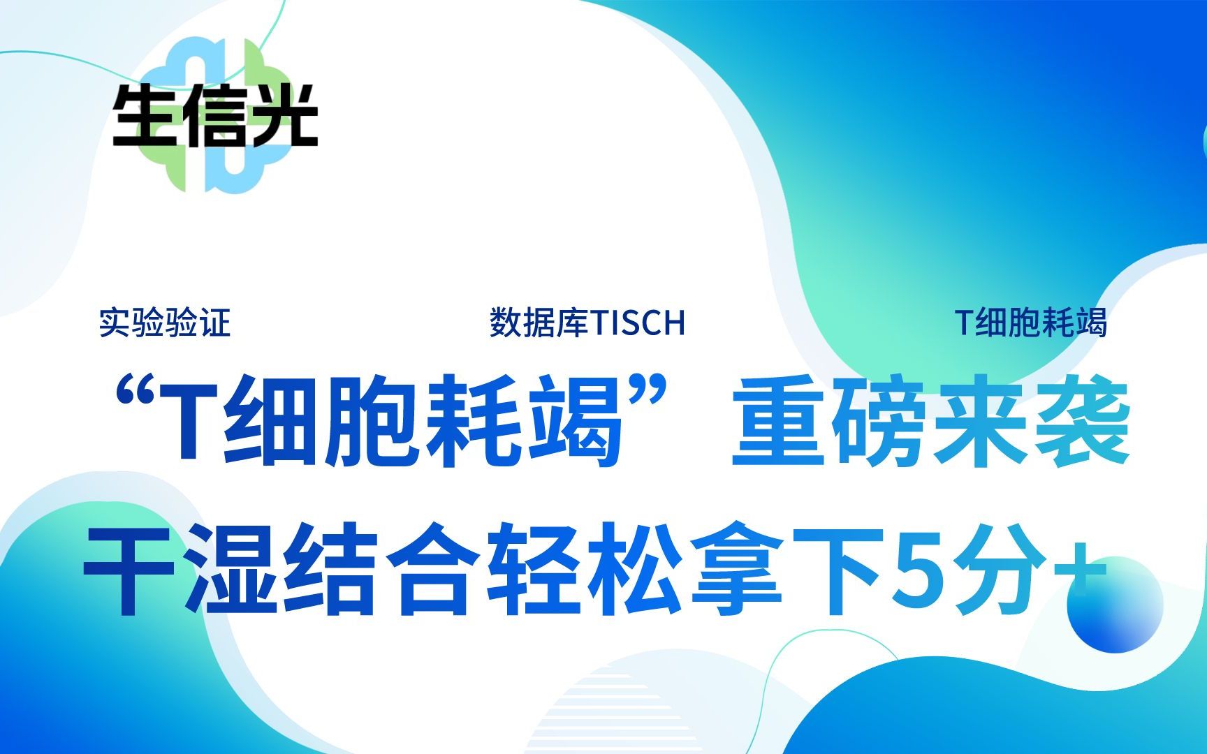 “T细胞耗竭”重磅来袭!基于单细胞数据库TISCH构建预后模型+实验验证,干湿结合轻轻松松拿下5分+生信文章!哔哩哔哩bilibili