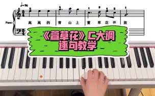 Descargar video: 《萱草花》逐句教学，分手合手弹奏示范