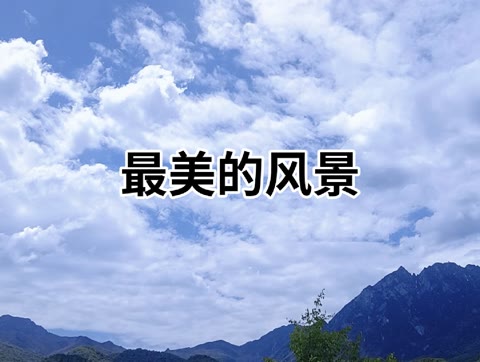 一花一草都是风景哔哩哔哩bilibili