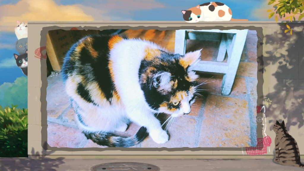 早上,小花猫的洗脸日常_哔哩哔哩_bilibili