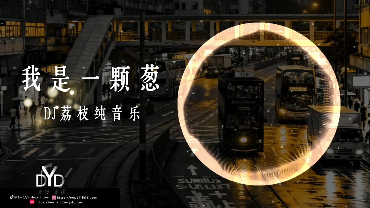 我是一颗葱/DJ荔枝-动态音频可视化
