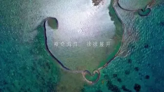 世界海洋日，让我们共同保护大美海洋