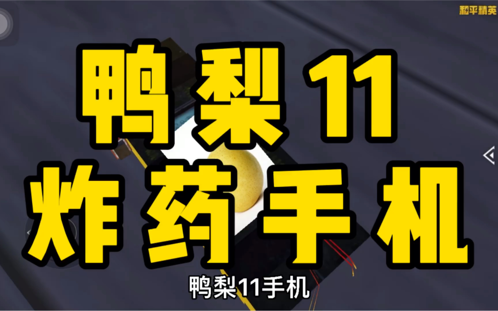 鸭梨11 炸药手机_和平精英