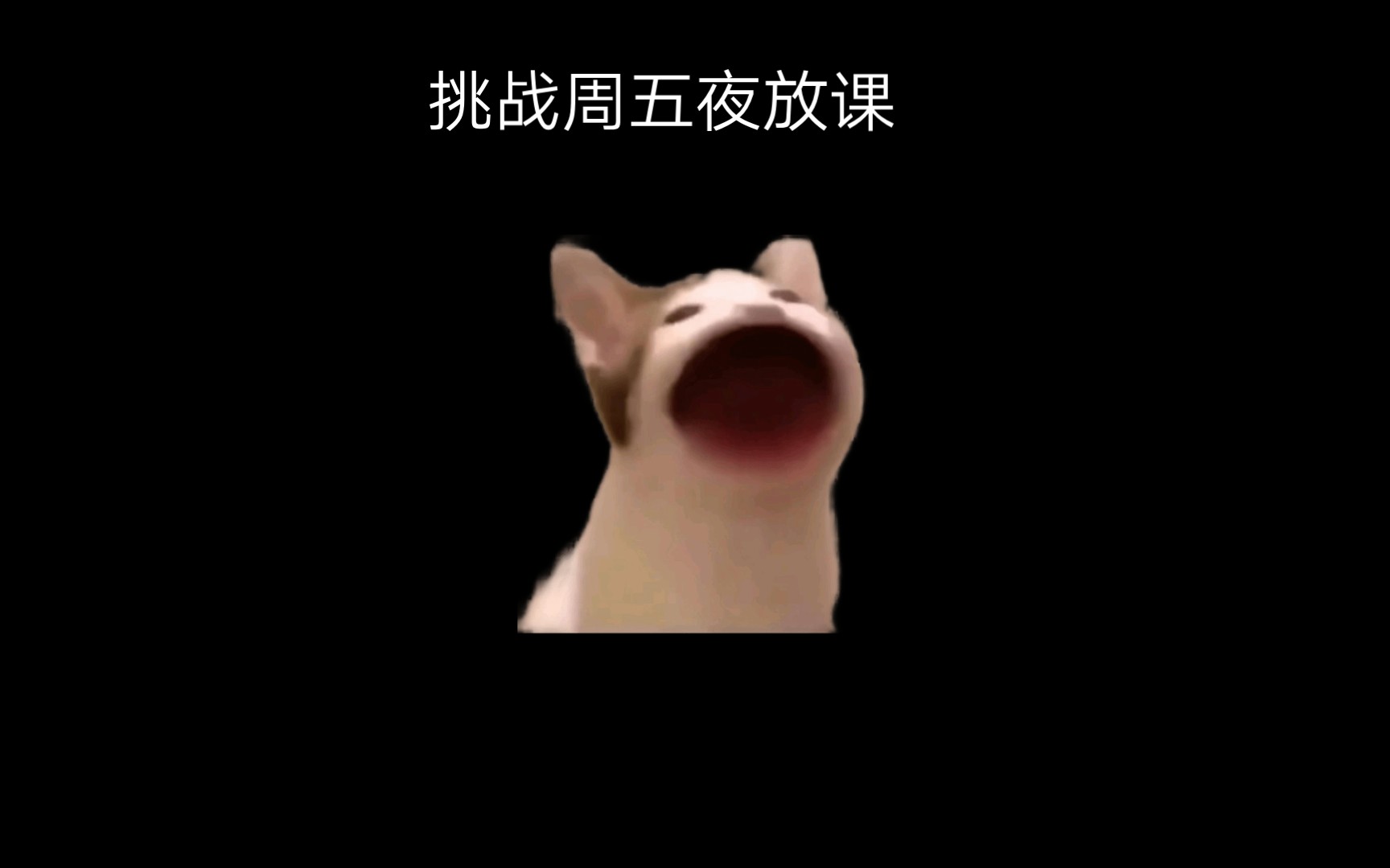 周五夜放客(一)