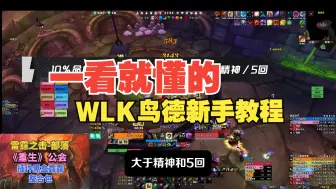 Download Video: 一看就懂的WLK鸟德新手入门指南