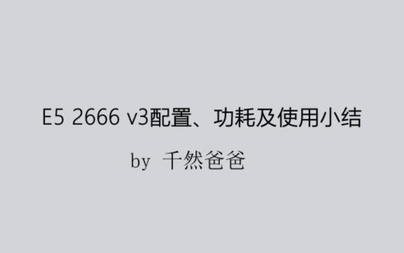 [图]生产力、多开！E5 2666 v3配置、功耗及使用一个月问题小结