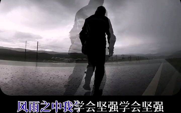 [图]【华语流行音乐】风雨人生路 华语流行歌曲排行榜