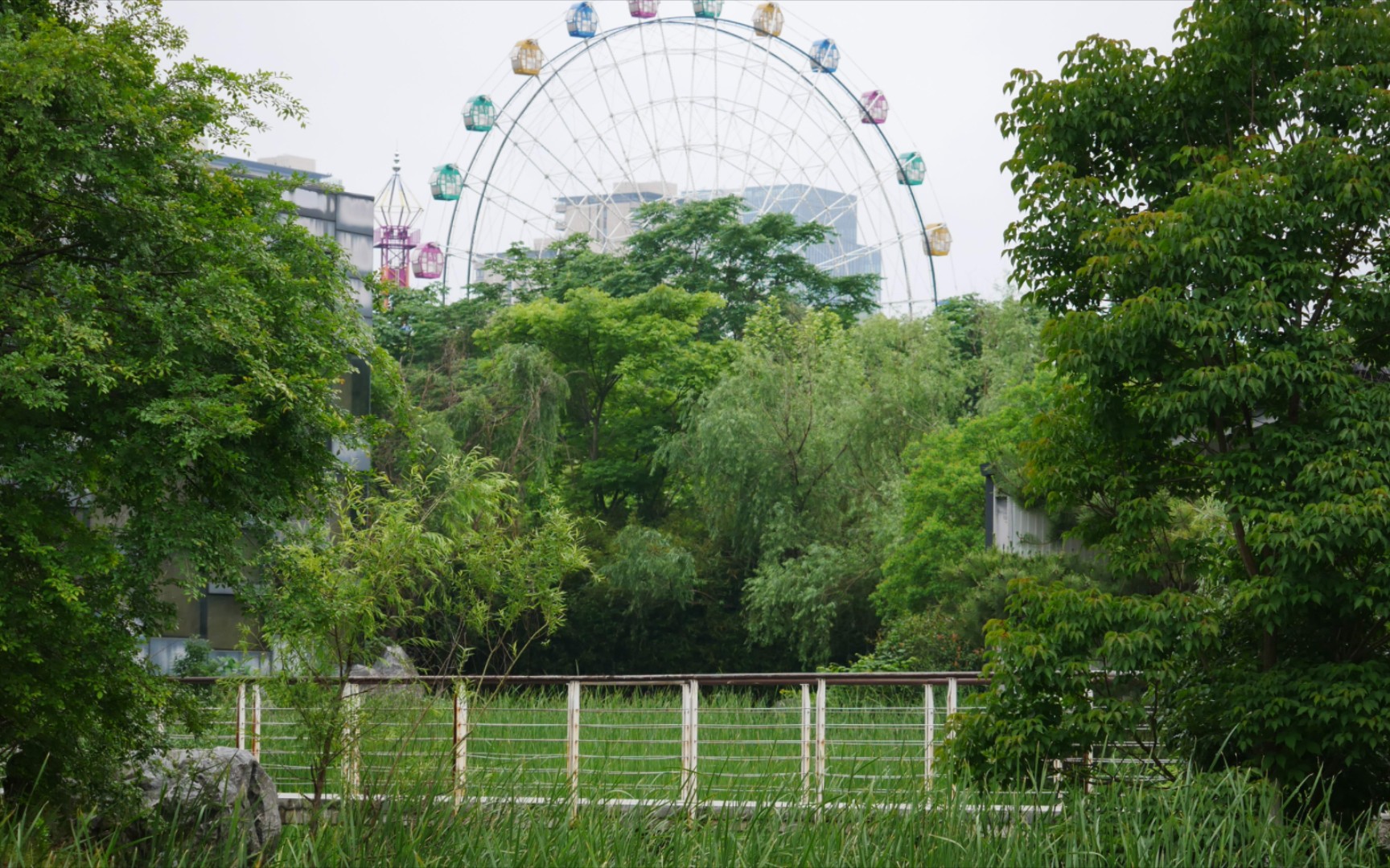 【隐于城市中的现代园林】南昌人民公园随拍