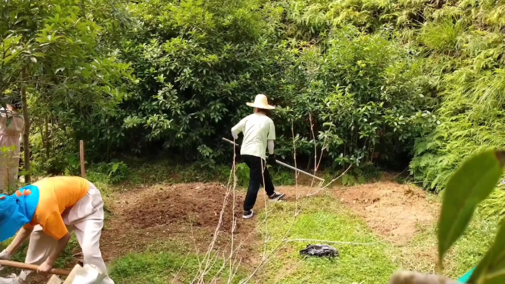 [图]当代大学生归园田居后的生活