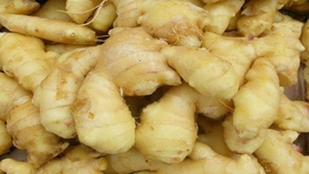 如何保存生姜 分享保存生姜的妙招 还可以发姜芽 哔哩哔哩 つロ干杯 Bilibili