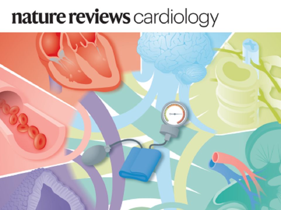 文献分享2 Nature Review CardiologyCVD and ED哔哩哔哩bilibili