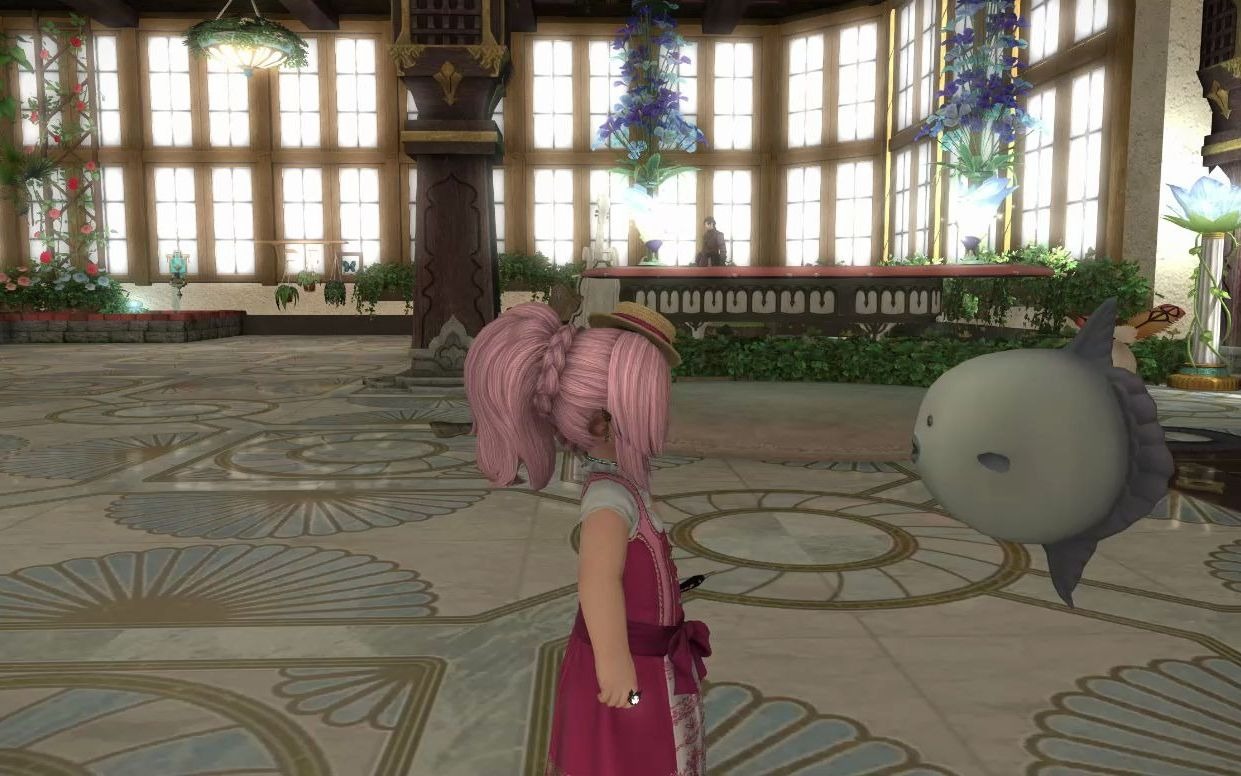 最终幻想14 莫莫拉·莫拉!宠物展示