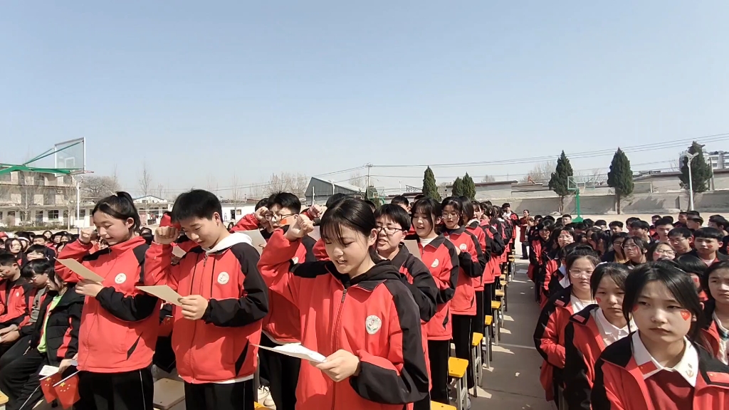 河北峰峰实验中学校花图片