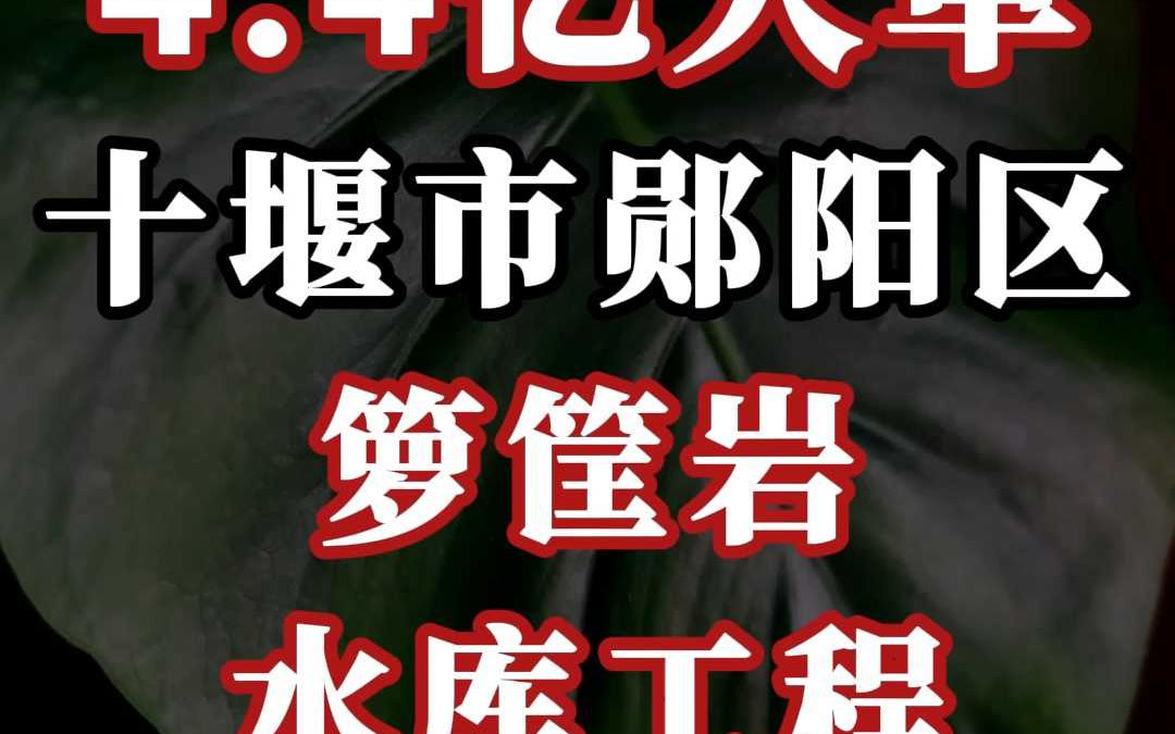 4.4 亿大单、十堰市郧阳区箩筐岩水库工程哔哩哔哩bilibili