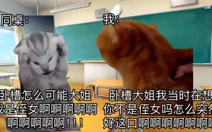 Download Video: 【猫meme】进入了甜美的梦乡，却被侄女同桌蜜饯未遂的故事｜这个绝对不能是预知梦