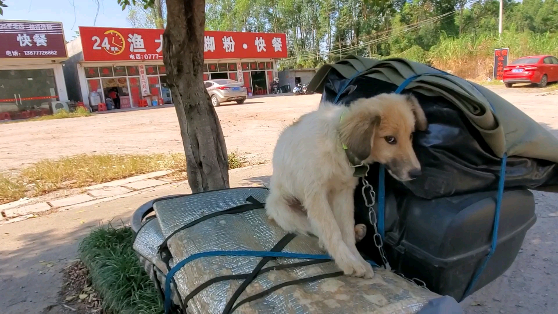 一人一狗一车流浪到广西钦州市,13块钱买一份快餐太划算了哔哩哔哩bilibili