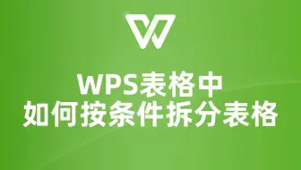 教你如何快速实现按条件拆分WPS表格，让工作更轻松！