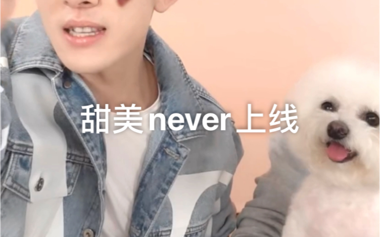 【李佳琦的狗】因为牛肉,never又变得甜美起来哔哩哔哩bilibili