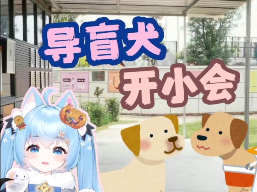 导盲犬也会开小会?【诺子喵呜】哔哩哔哩bilibili