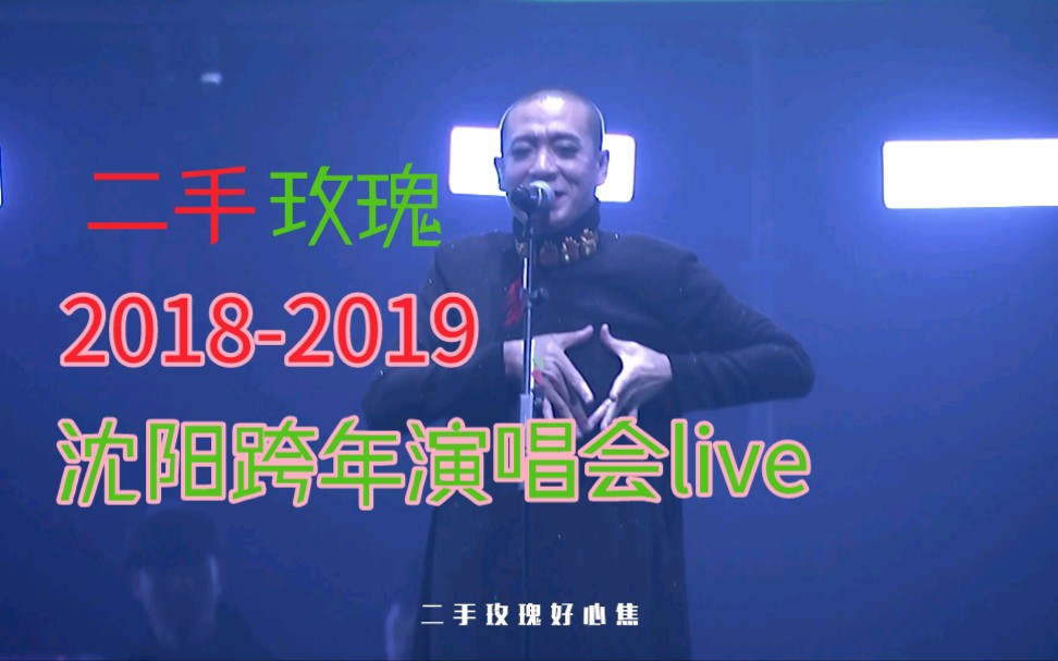 龙姨二手玫瑰20182019沈阳演唱会live