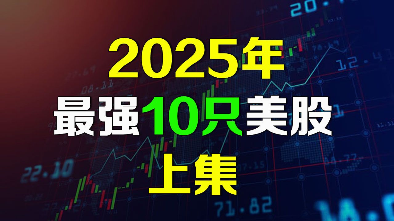 2025年最强10只美股【上集】不为人知的AI公司!哔哩哔哩bilibili