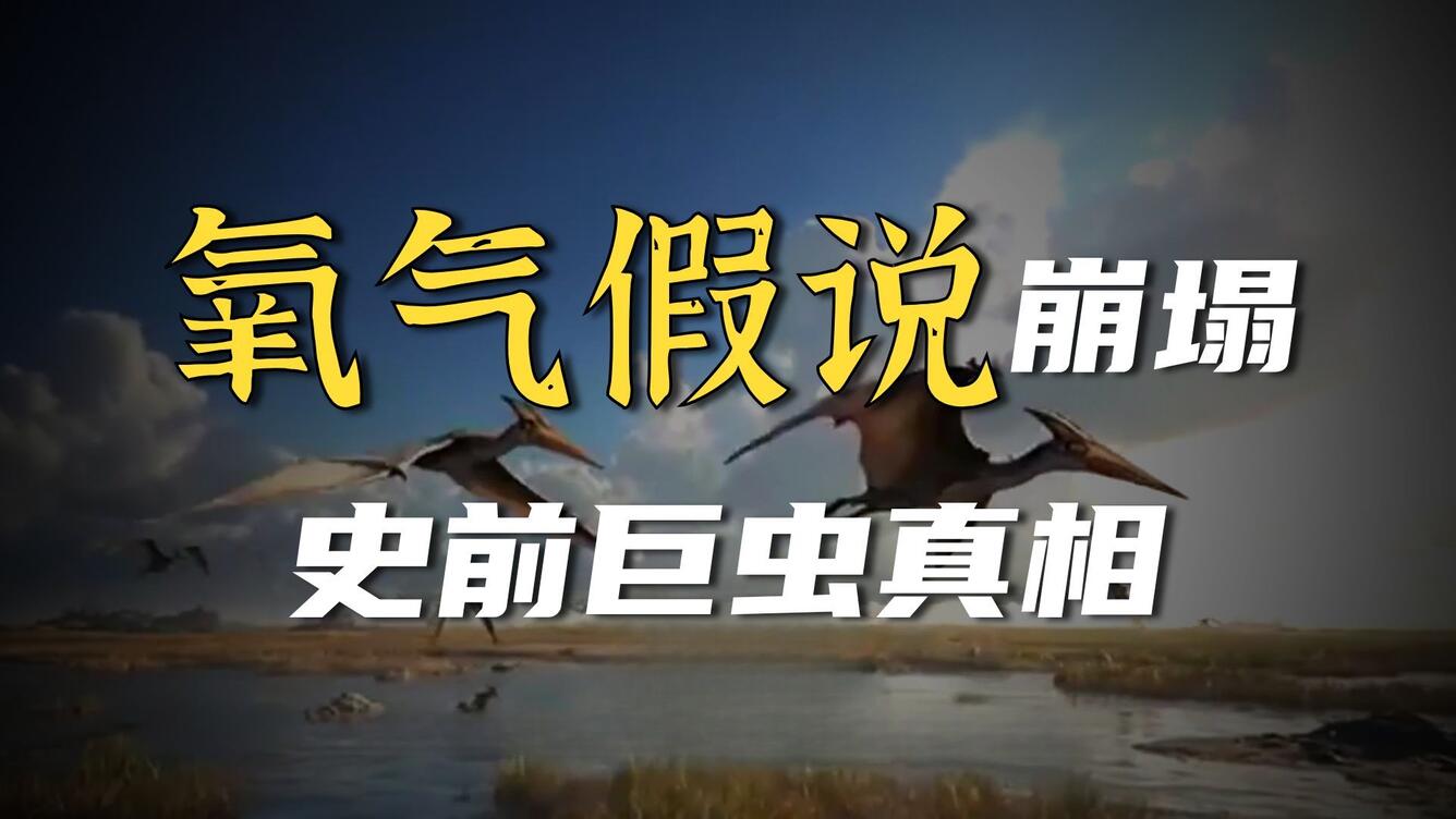 更新：氧气高含量没有塑造石炭纪的巨型昆虫体型