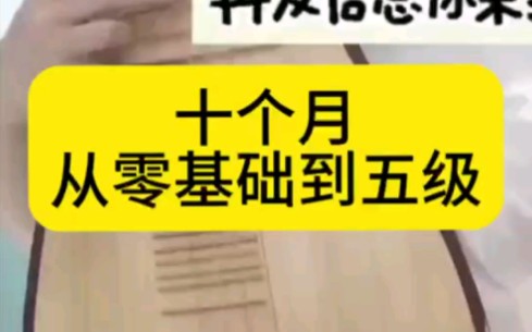 十个月从零基础到五级,谁说琵琶难?方法对了,不要太简单!哔哩哔哩bilibili