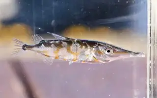 鈴木香里武 搜索结果 哔哩哔哩 Bilibili