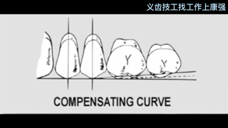 活动义齿上颌后牙排牙制作by Teaching Prosthodontics#胶托#排牙#牙匠之家哔哩哔哩bilibili