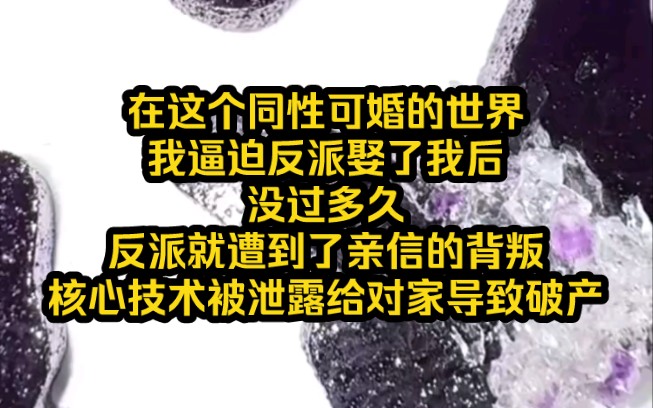 《极致诱哄》在这个同性可婚的世界,我逼迫反派娶了我后,没过多久,反派就遭到了亲信的背叛,核心技术被泄露给对家导致破产哔哩哔哩bilibili