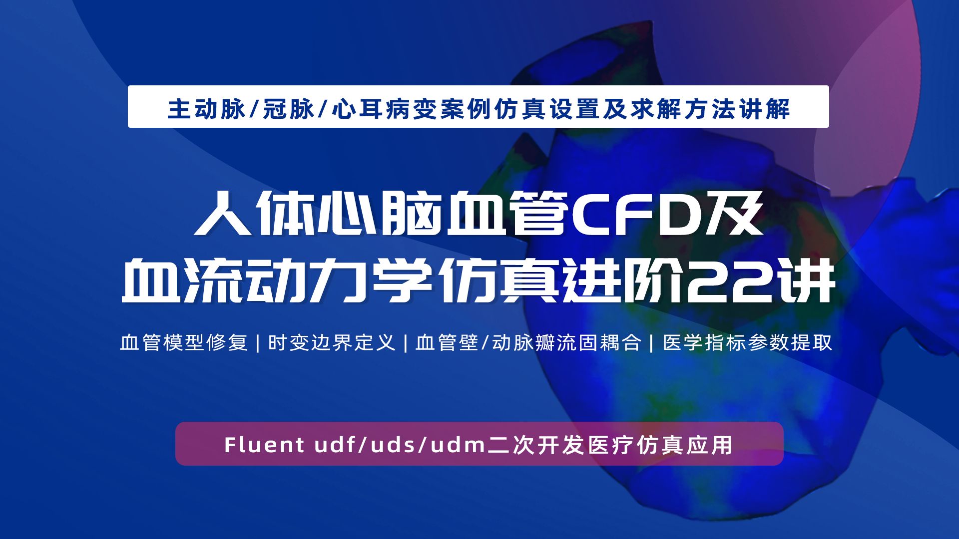 人体心脑血管CFD及血流动力学仿真进阶22讲哔哩哔哩bilibili