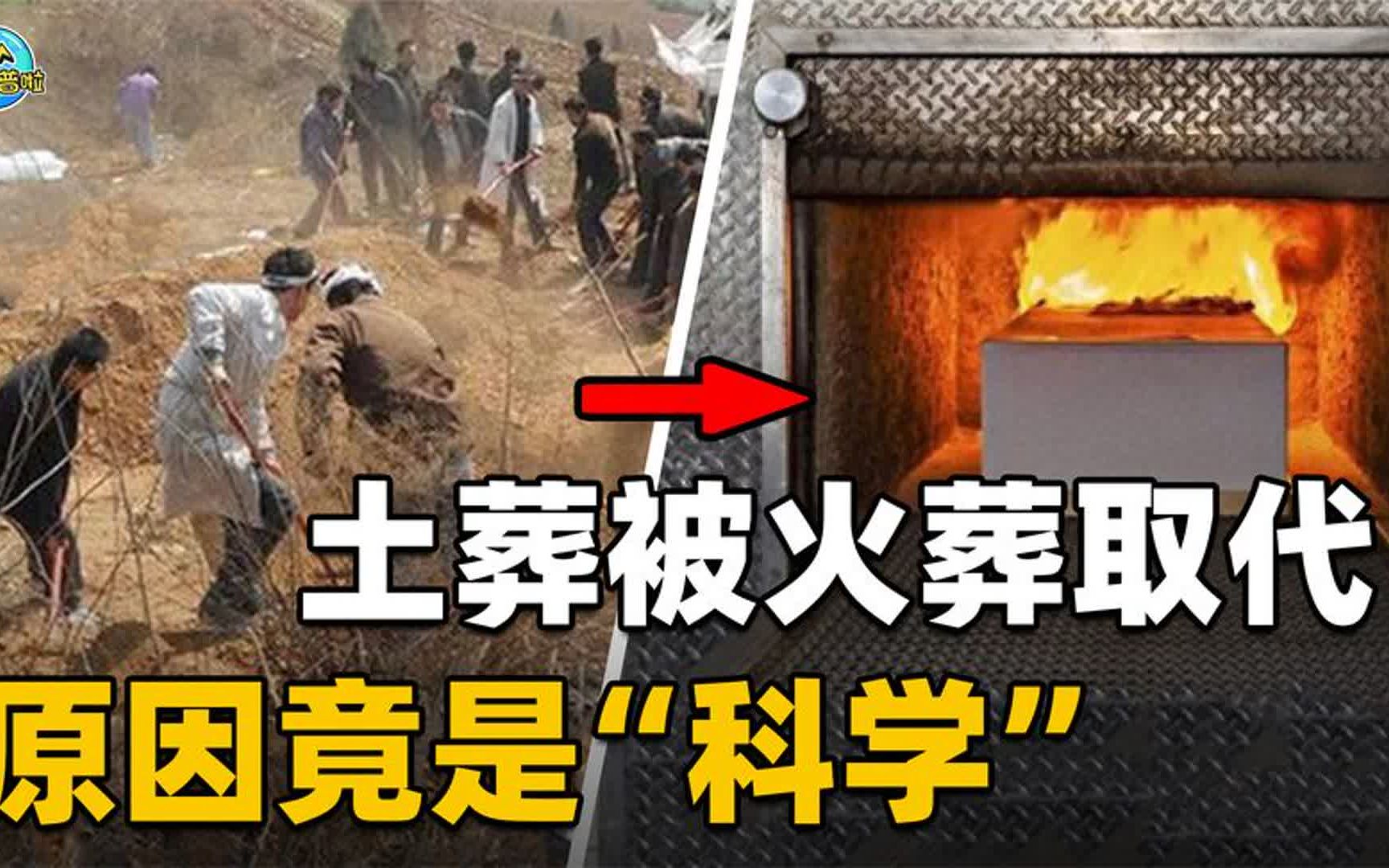 [图]土葬为什么会被火葬取代？压倒土葬的最后一根稻草，其实是科学！合集