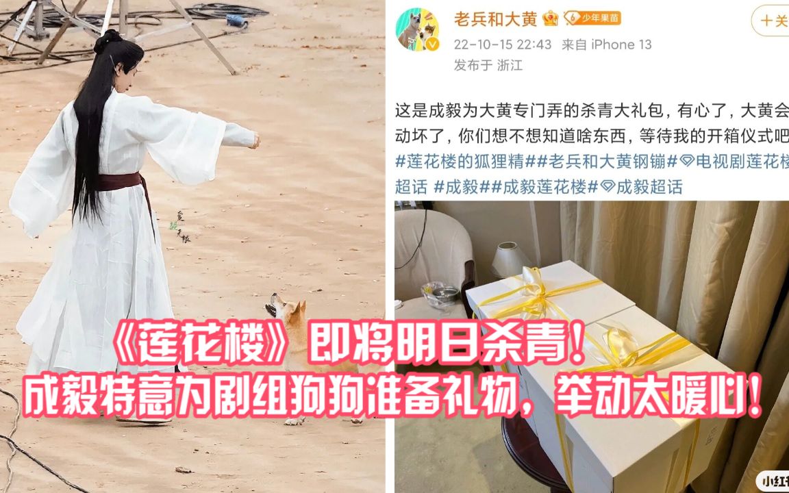 [图]《莲花楼》即将在明日杀青，成毅还特意为剧组狗狗准备礼物，举动太暖心！