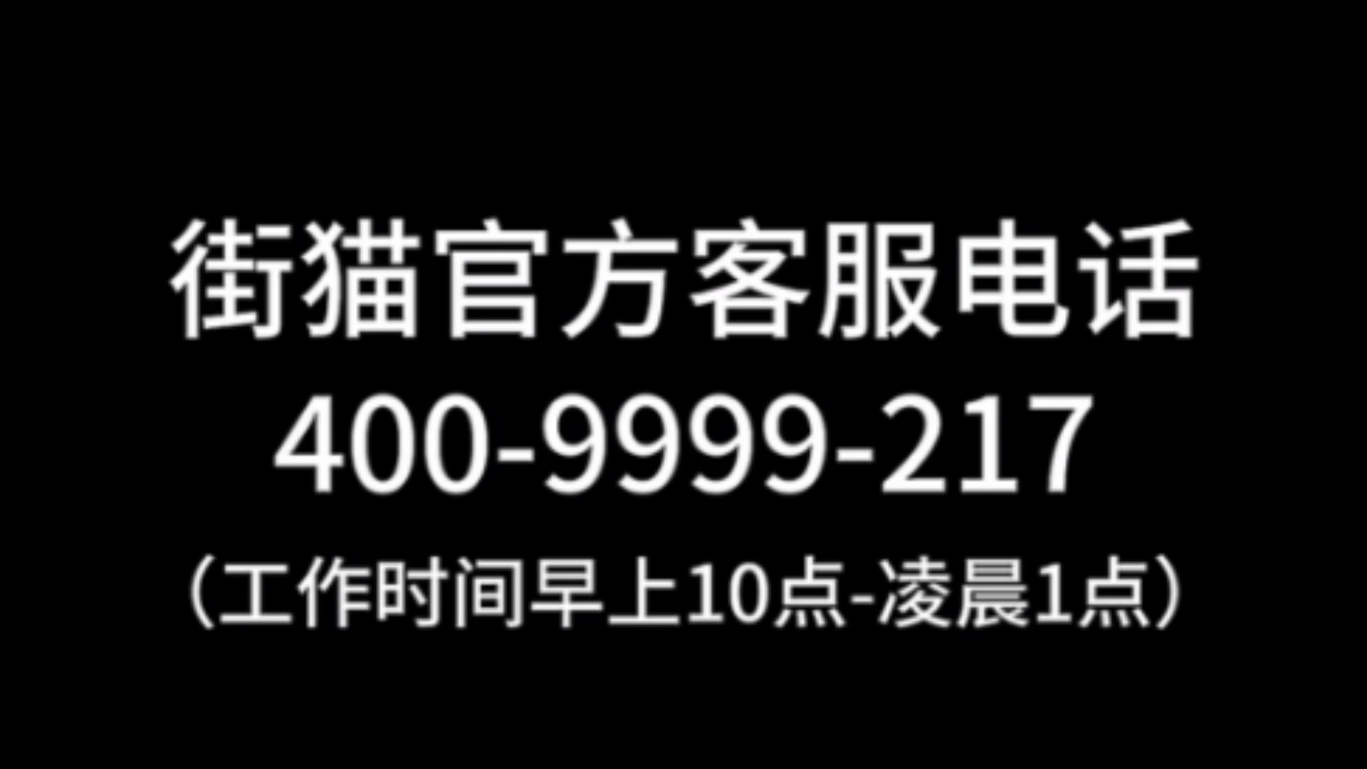 街猫:关爱除了猫一切小动物哔哩哔哩bilibili