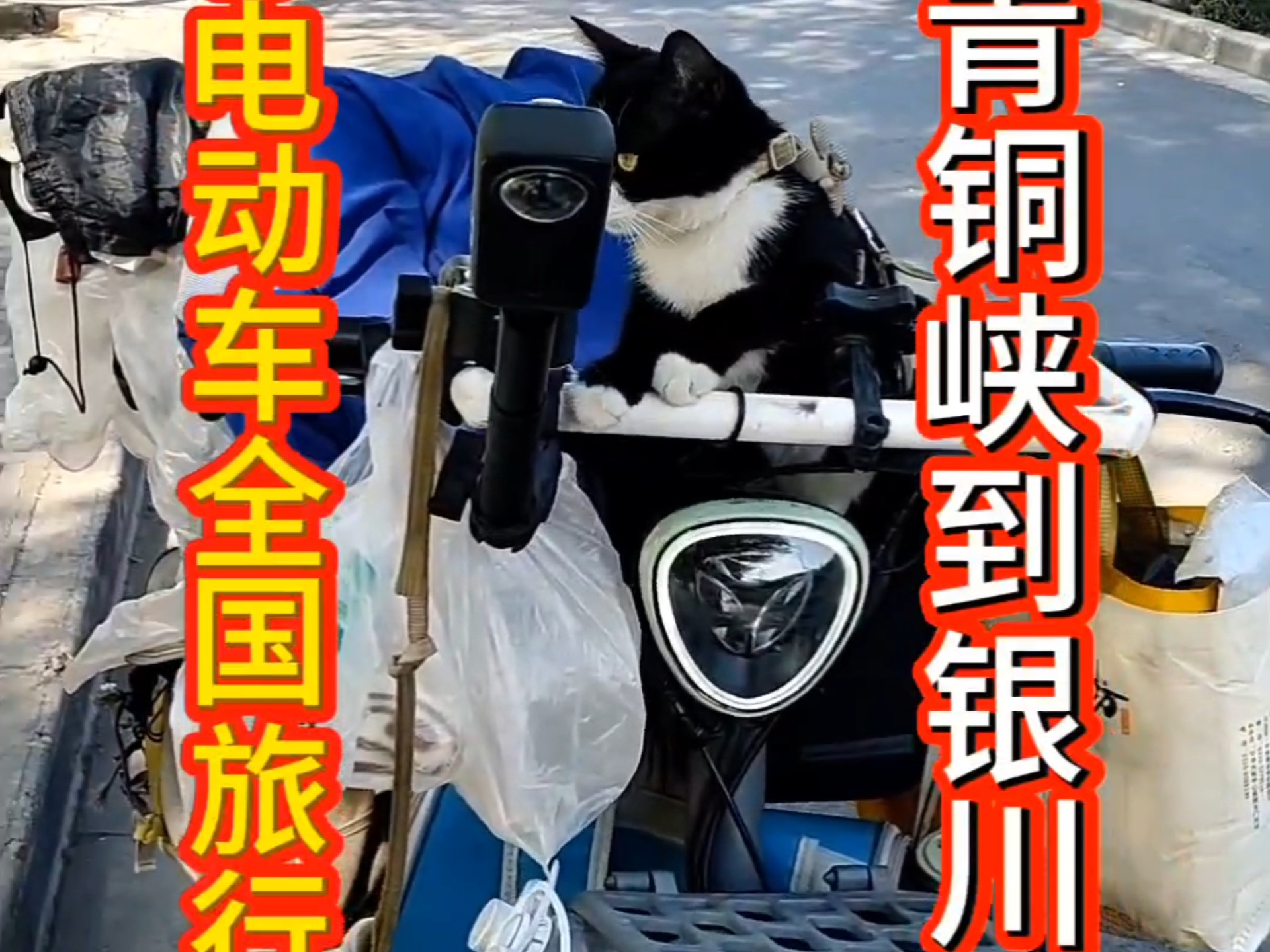 电动车全国旅行!青铜峡市到银川市!黑猫警长今天吐了两次!是病了吗