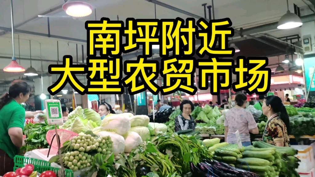 重庆南坪大型农贸市场,蔬菜丰富,水果都是批发价,经济实惠